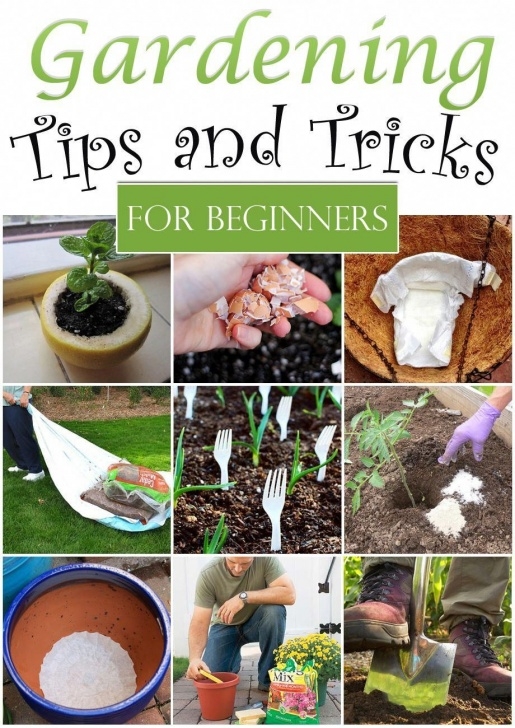Vegetable Gardening For Dummies 28 Round Firepit Area Ideas To Enjoy Summer Nights Outside Image 063