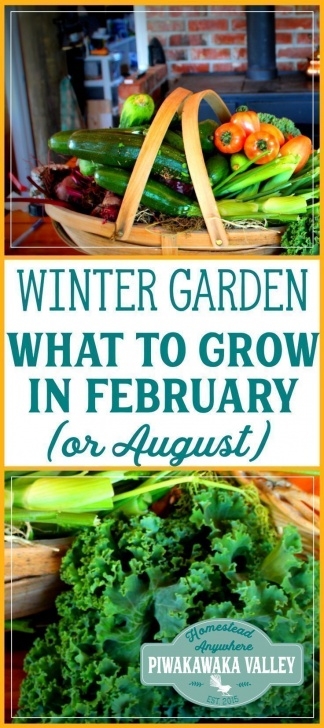 Vegetables To Grow In August Growing A Winter Vegetable Garden? Here Is What To Plant Picture 697