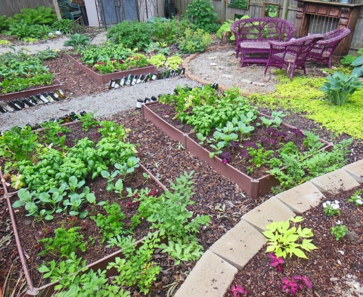 Vegetables To Grow In Shade How To Plant A Full Shade Raised Vegetable Garden Bed–Year Picture 662