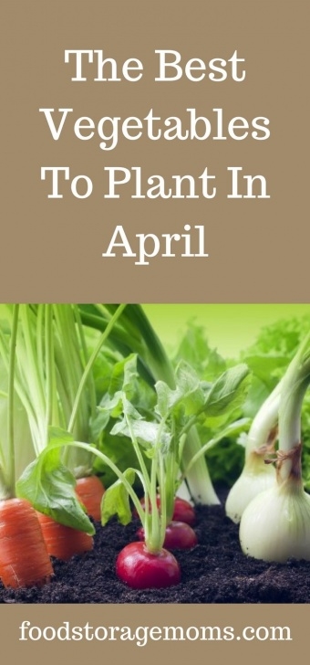 Vegetables To Plant In March The Best Vegetables To Plant In April | Vegetables Photo 274