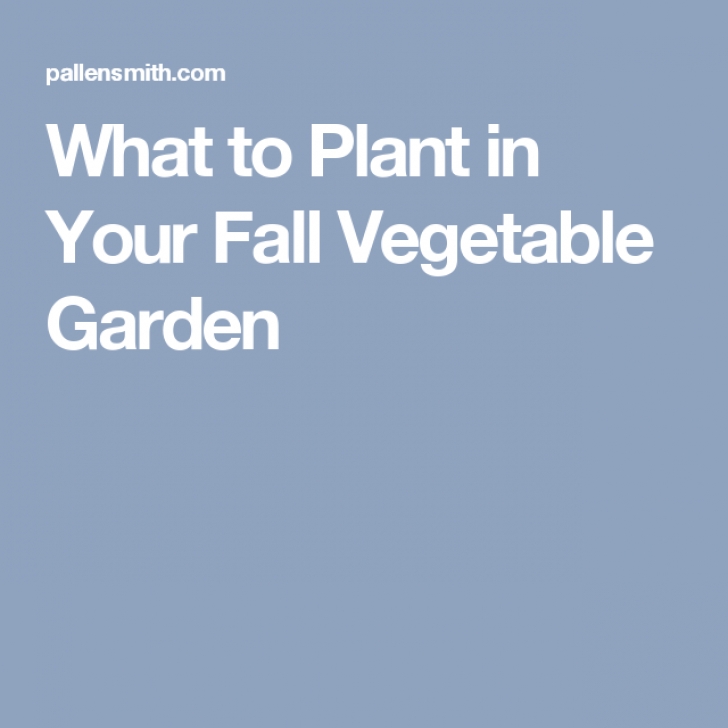 Vegetables To Plant In Winter What To Plant In Your Fall Vegetable Garden | Winter Picture 980