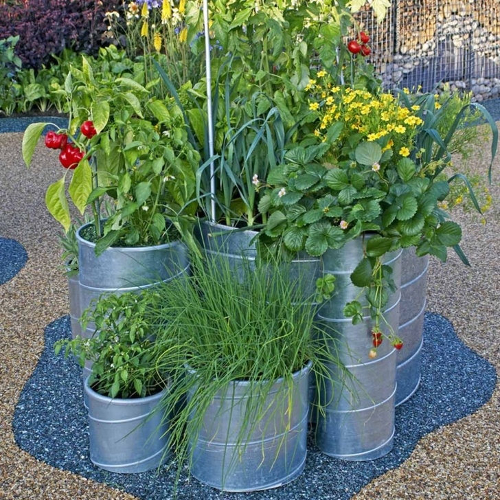 Vegetables You Can Grow In A Pot A Dozen Vegetables You Can Grow In Pots | Growing Picture 898