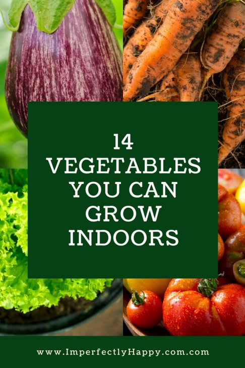Vegetables You Can Grow Inside 14 Vegetables You Can Grow Indoors In The Fall &amp; Winter Photo 937
