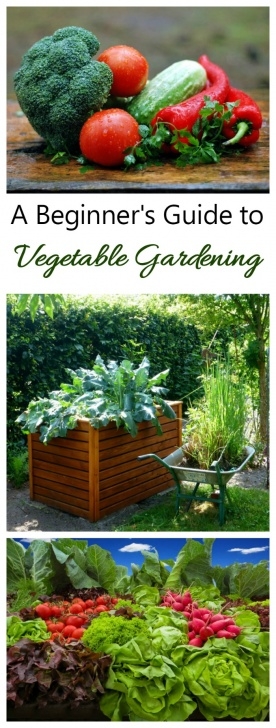Veggies To Grow In Summer Vegetable Gardening - The Complete Guide To Growing Your Picture 883