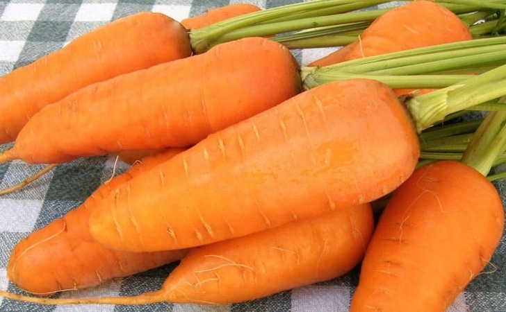Veggies To Plant In July 10 Vegetables You Can Plant In July • Brown Thumb Mama Photo 904