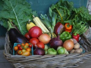 Veggies To Plant In Summer Summer Vegetables ~ Grow Appalachia Image 393