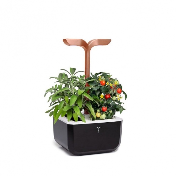 Veritable Smart Indoor Garden Exky® Smart Copper Garden - Compact & Autonomous Indoor Picture 270