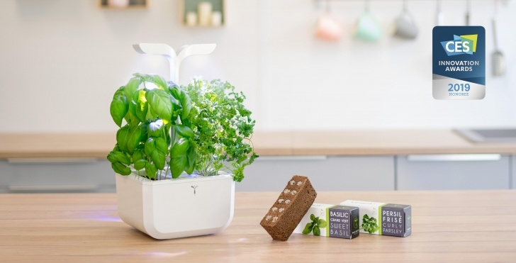 Veritable Smart Indoor Garden Exky Smart Garden - Veritable - Indoor Smart Garden Gardens Image 894