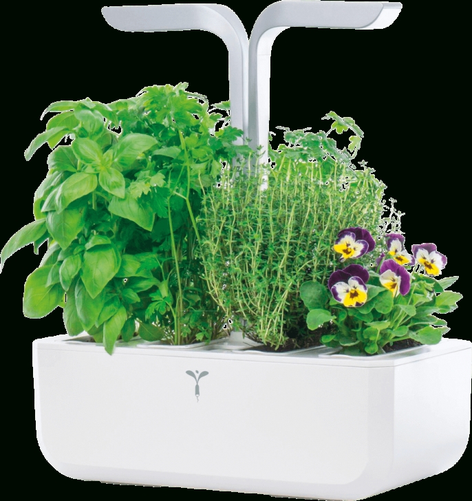 Veritable Smart Indoor Garden Ver Sawas-Denl: Indoor Garden, Véritable Smart, Weiß Bei Image 795