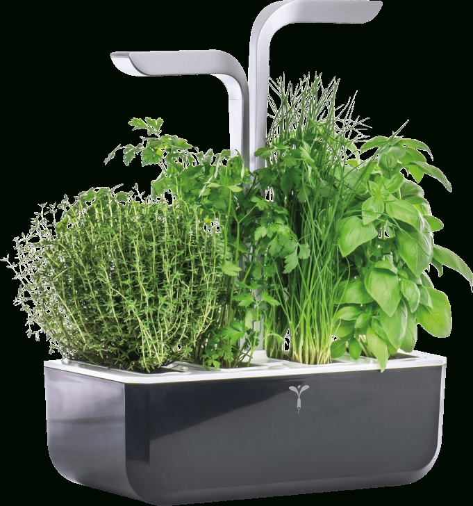 Veritable Smart Indoor Garden Ver Ssbas-Denl: Indoor Garden, Véritable Smart, Schwarz Photo 196