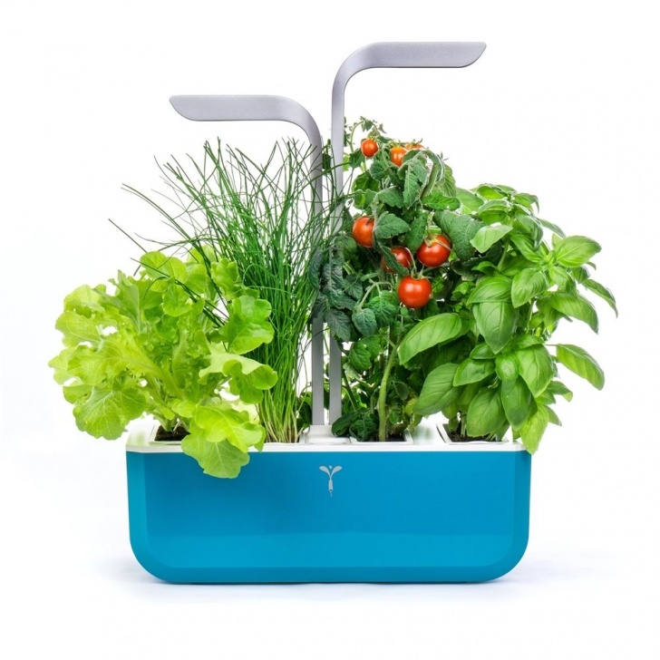 Veritable Smart Indoor Garden Veritable Indoor Garden - Smart - Brighton Cookery School Image 296