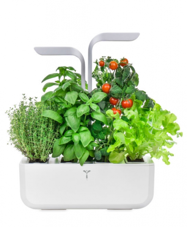 Veritable Smart Indoor Garden Veritable® Smart Indoor Garden | Home Vegetable Garden Picture 603