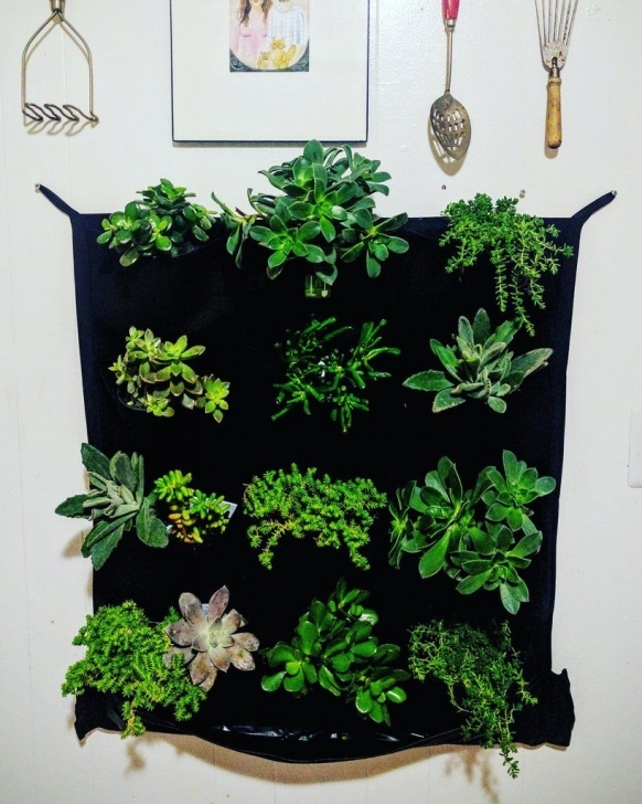 Vertical Wall Planter Indoor 12 Pocket Indoor Waterproof Vertical Living Wall Planter Image 833