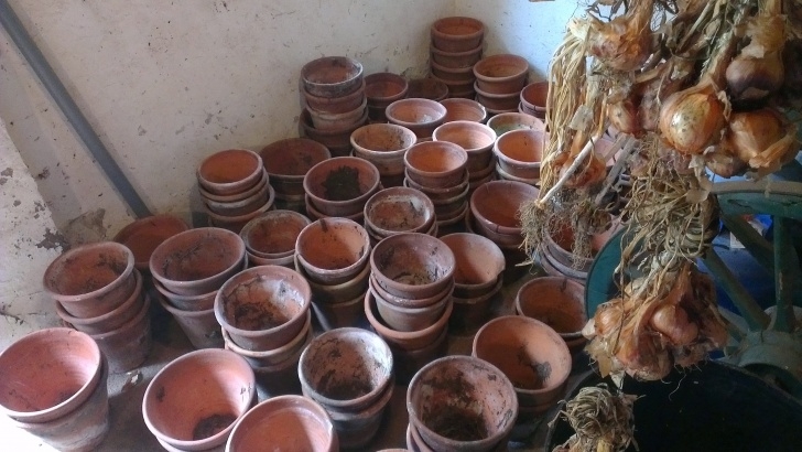 Victorian Indoor Plant Pots Victorian Terracotta Pots, Clay Pots, Old Pots, Old Flower Photo 624