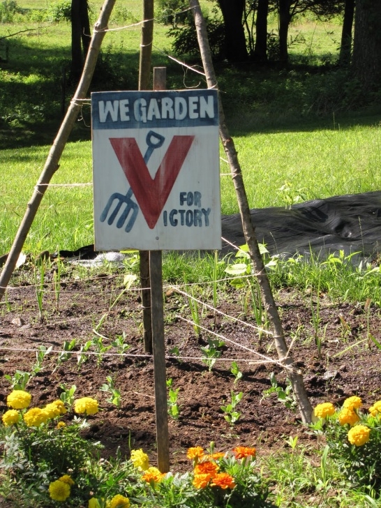 Victory Gardens Landscaping A Little Of This: We Garden For Victory Picture 886