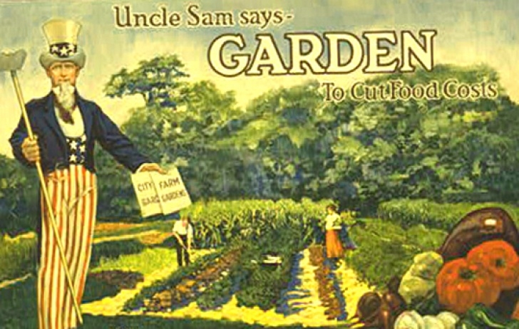 Victory Gardens Landscaping Am Krunchy | Maybe We Should All Be Playing With Our Food. Image 122