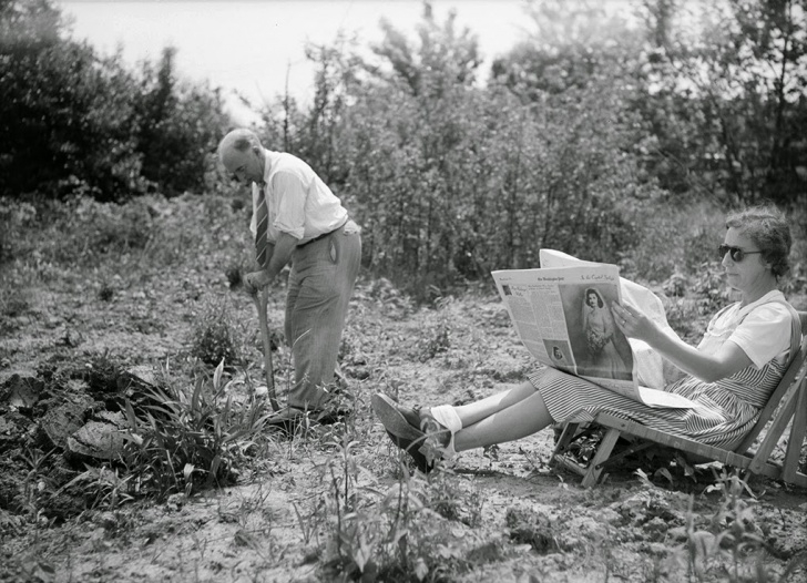 Victory Gardens Landscaping History In Photos: Victory Gardens Photo 144