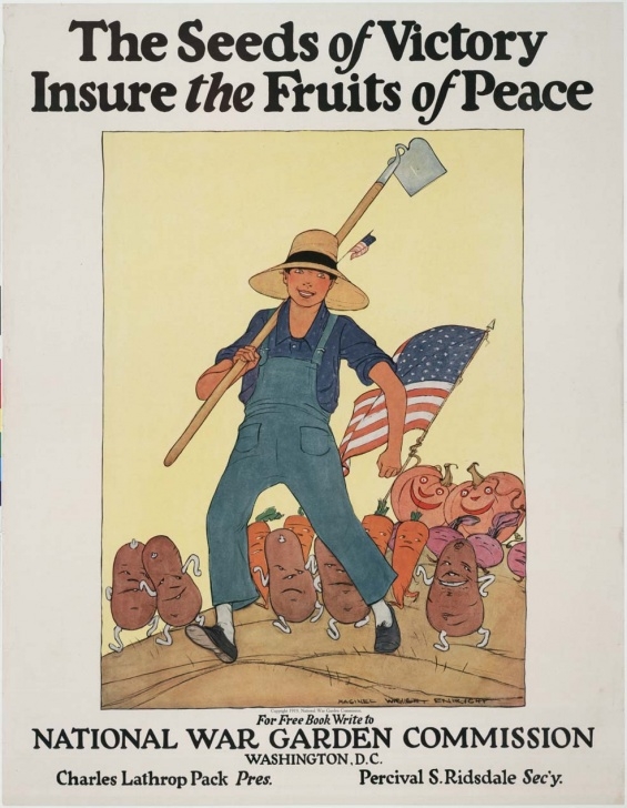 Victory Gardens Landscaping Victory Garden Propaganda | Food Ally Photo 245