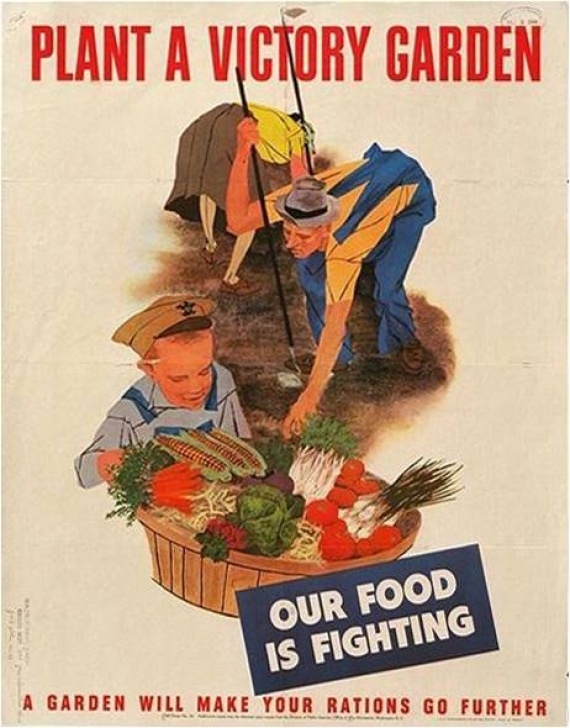 Victory Gardens Landscaping Wwi On The Homefront (Powerpoint) | Historymartinez'S Blog Picture 760