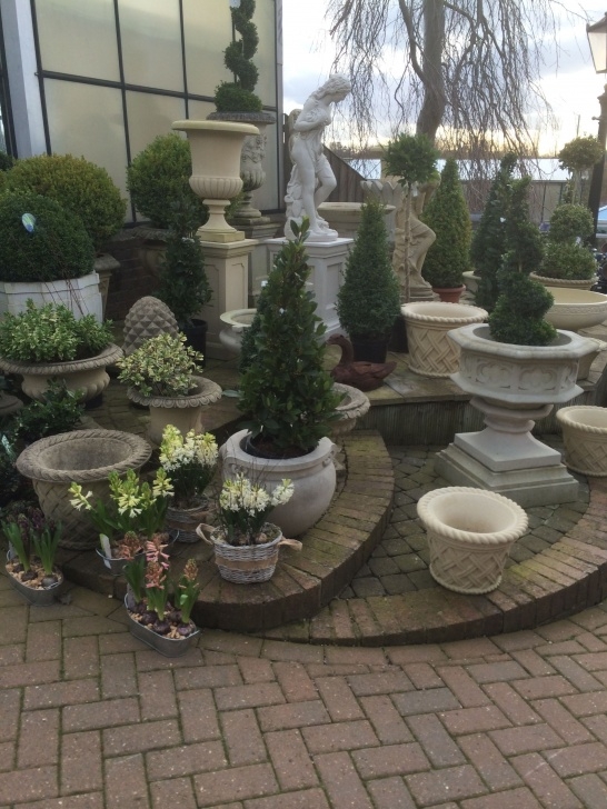 Visual Landscape Gardening Reg Taylors - Garden Centre - Garden - Lifestyle - Home Image 659