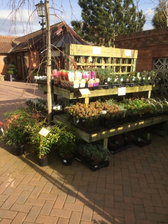 Visual Landscape Gardening Reg Taylors - Garden Centre - Garden - Lifestyle - Home Picture 354