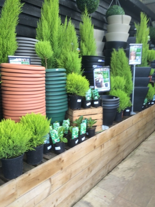 Visual Landscape Gardening Timmermans - Garden Centre - Nursery - Garden - Outdoor Image 552