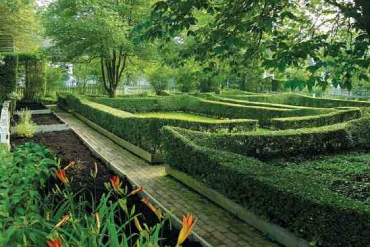 Visual Landscape Gardening Visual Plant Guide: Grow These Herbs In Your Colonial Garden Picture 100