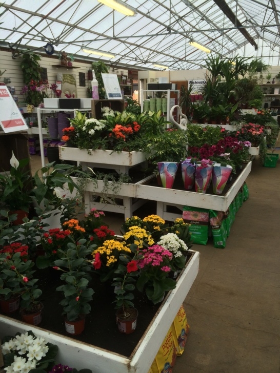 Visual Landscape Gardening Wheatcroft Garden Centre - Notcutts - Edwalton Picture 824