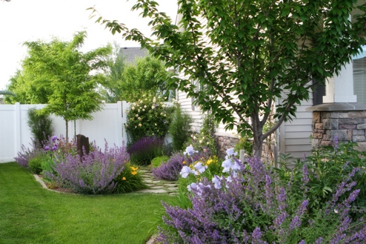 Vw Gardening Landscaping Vw Garden: June Garden Image 671