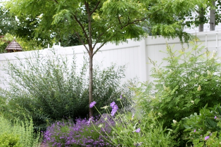 Vw Gardening Landscaping Vw Garden: Shady Haven Image 409