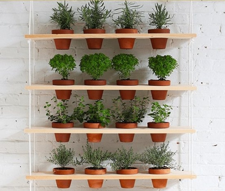 Wall Hanging Herb Garden 16 Diy Indoor Plant Wall Projects Anyone Can Do | Living Photo 994