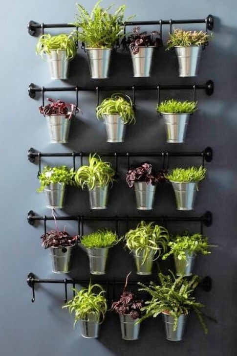 Wall Hanging Herb Garden Creative Diy Herb Gardens For Any Space Image 616