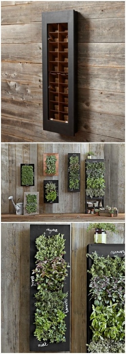 Wall Mounted Herb Garden Indoor 2214 Best Odd Planters | Garden Pots Images On Pinterest Image 522