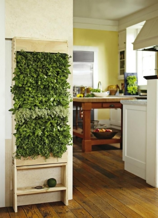 Wall Mounted Herb Garden Indoor Gardenista Agrarian Contest Vertical Wall Garden: Grand Image 359