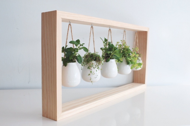 Wall Mounted Herb Garden Indoor Indoor Herb Garden In Wooden Frame | Etsy Image 129