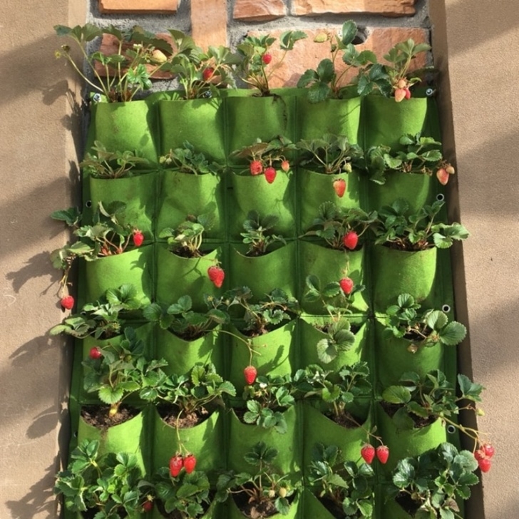 Wall Mounted Herb Garden Indoor Outdoor 9 Pocket Indoor Balcony Herb Vertical Garden Wall Photo 238