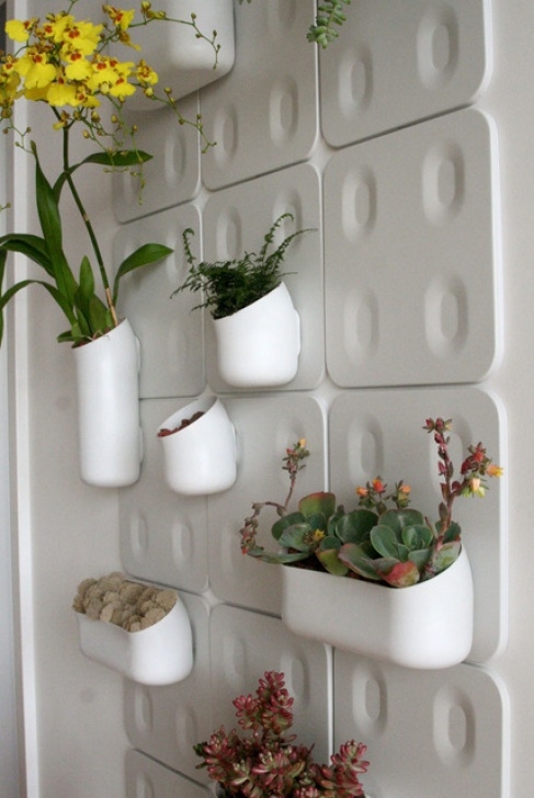 Wall Mounted Herb Garden Indoor Ramblings Around Dc And Beyond: Be A Wallflower Photo 059