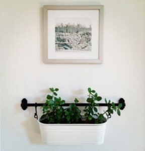 Wall Planters Indoor Ikea Ikea Fintorp Rail Used To Hang Plants On The Wall Photo 356