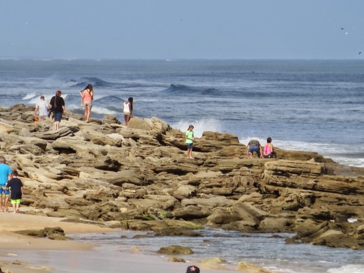 Washington Oaks State Park Nature Is Real: Washington Oaks Gardens State Park Photo 981