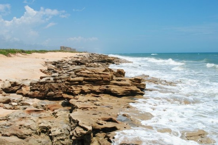 Washington Oaks State Park Water Trickling Through The Coquina - Picture Of Photo 403