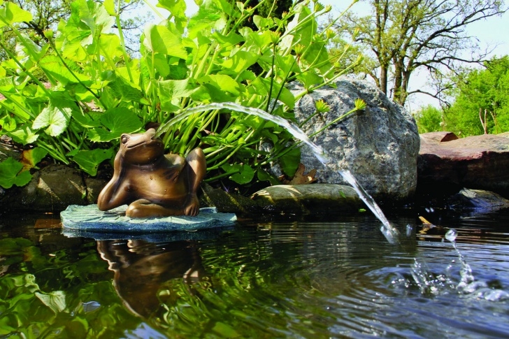 Water Fountain For Small Pond Whiz-Q Stone Lazy Frog On Lily Pad Spitter W/Pump Photo 082
