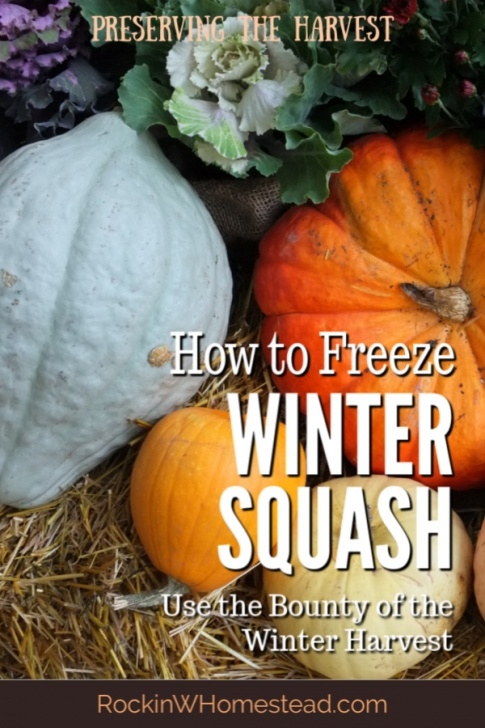 Winter Squash Companion Plants How To Freeze Winter Squash | Rockin W Homestead Image 839