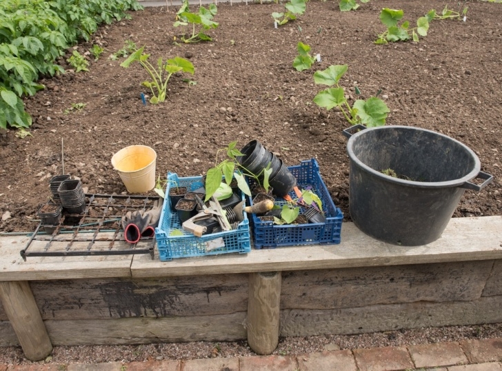 Winter Squash Plant When To Plant Winter Squash » Top Tips For Success Photo 205
