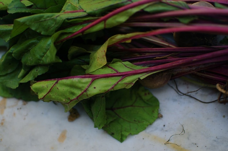 Winter Veg To Grow The Best Winter Vegetables To Grow In Your Garden Picture 971