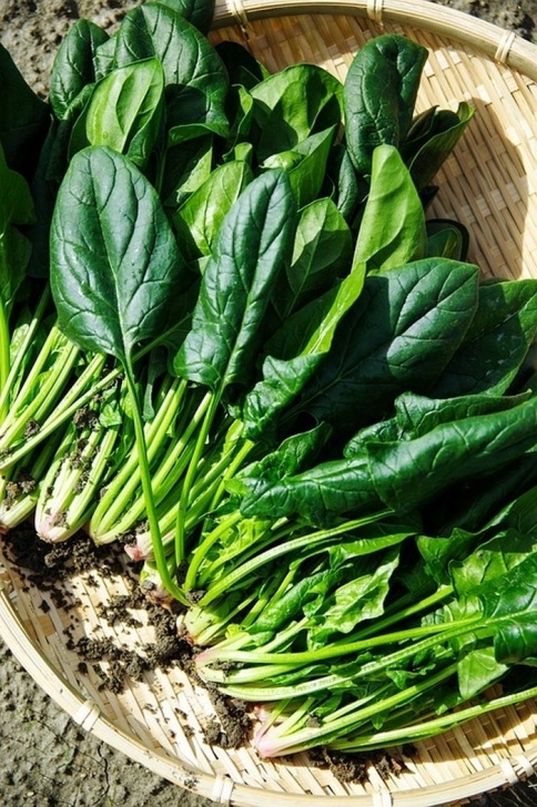 Winter Veg To Grow Top 5 Vegetables To Grow Over Winter | Ideas2Live4 Picture 124