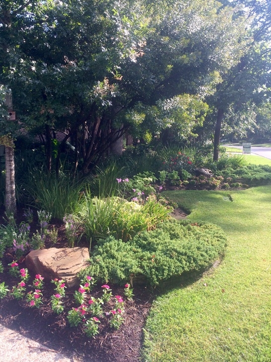 Woodlands Tree And Landscaping Services Landscape Gallery Woodlands — Envy Exteriors Image 866
