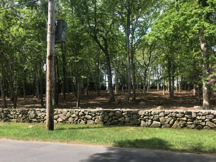Woodlands Tree And Landscaping Services Tree Service - Professional Tree &amp; Landscape Construction Image 670