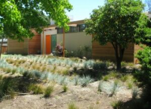Zero Maintenance Landscaping Jetson Green - 16 Leading Leed Platinum Projects Of 2011 Photo 084