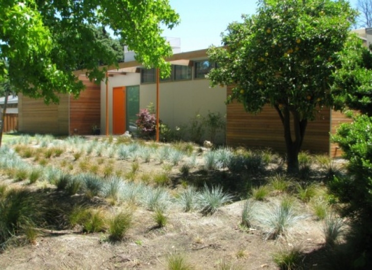Zero Maintenance Landscaping Jetson Green - 16 Leading Leed Platinum Projects Of 2011 Photo 084